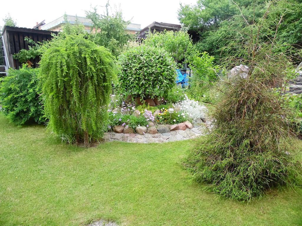 Zelta Pirts Guest House Ventspils Luaran gambar
