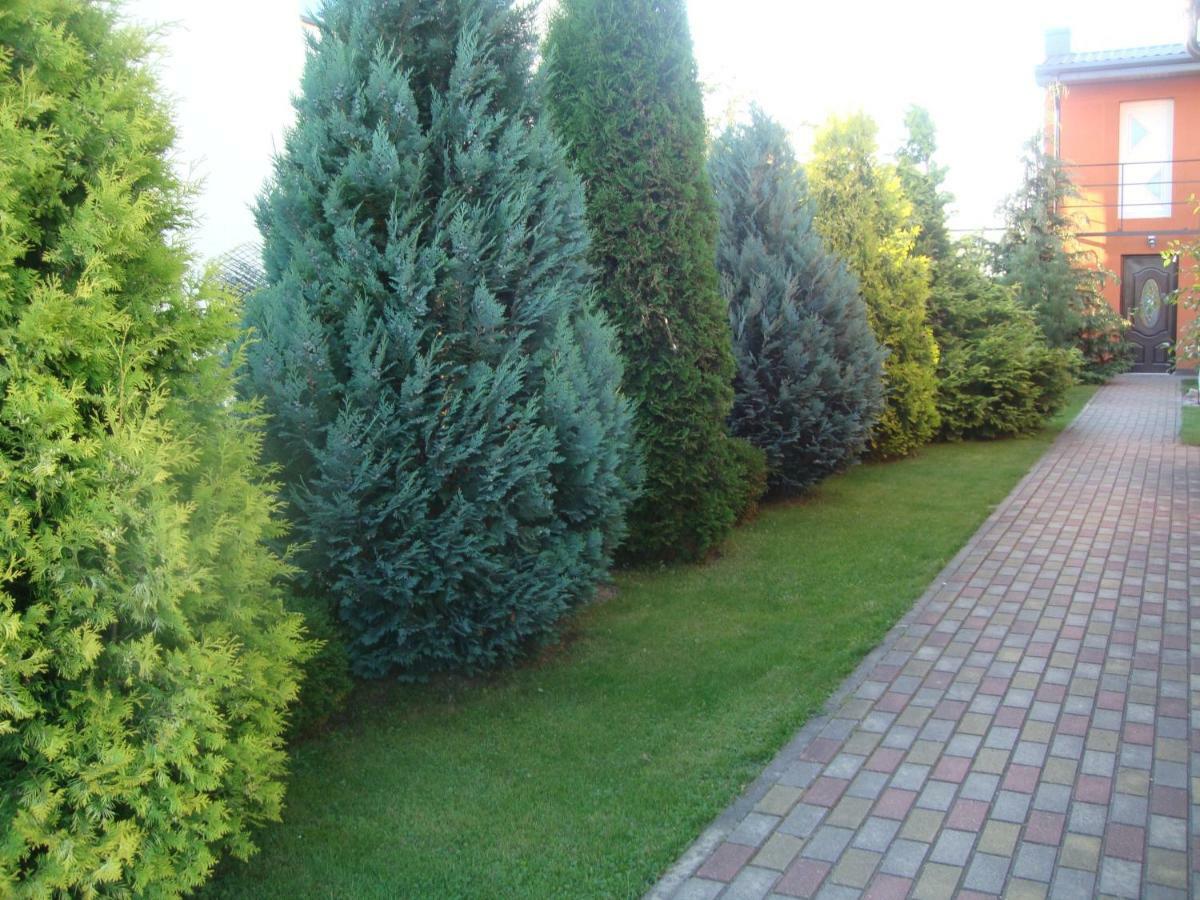Zelta Pirts Guest House Ventspils Luaran gambar